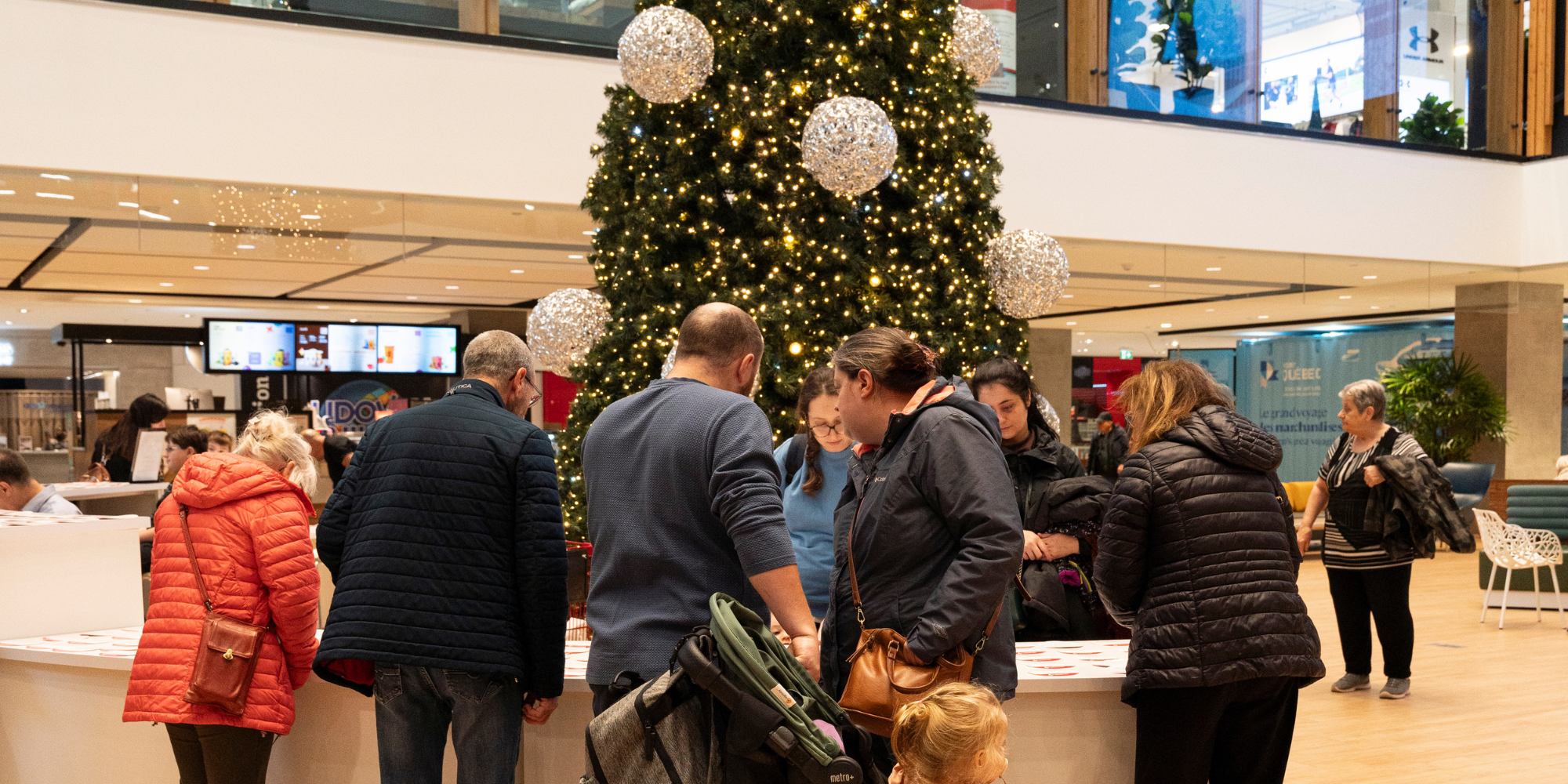 Laurier Québec Arbre enchanté